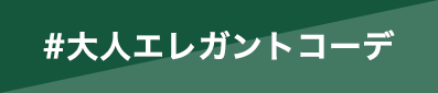 大人エレガントコーデ